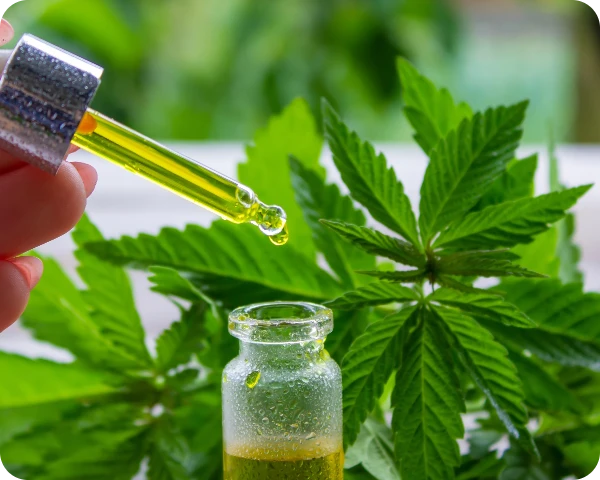 CBD