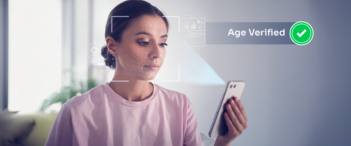 How Does Identity Verification API Work?